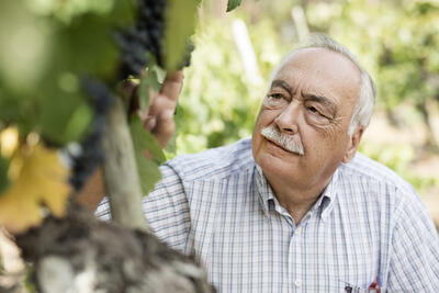 Luís Pato - Visita & Cata de Vinos