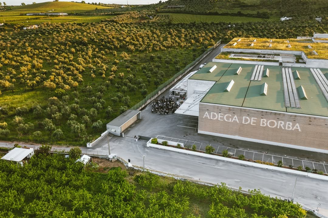 Adega de Borba - Tour & Premium Tasting