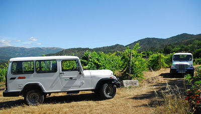 Quinta de Santa Cristina – 4x4 Wine Tour 