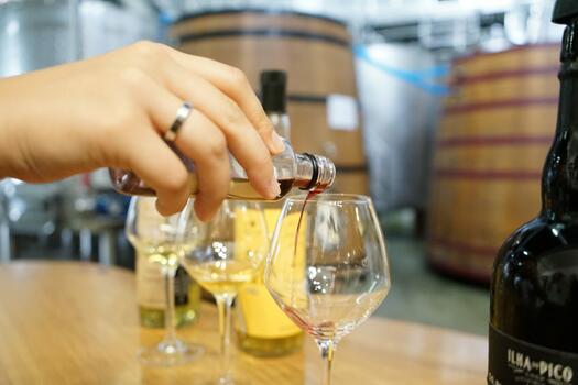 PicoWines – One, Two, Terroir