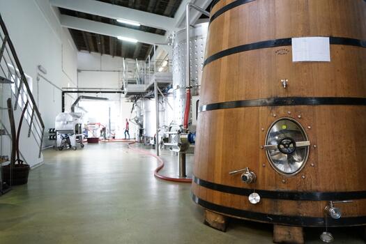PicoWines – From Land to Sea 