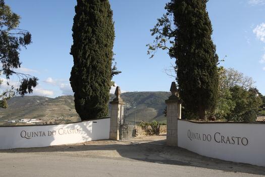 Quinta do Crasto - Visita & Prova Superior