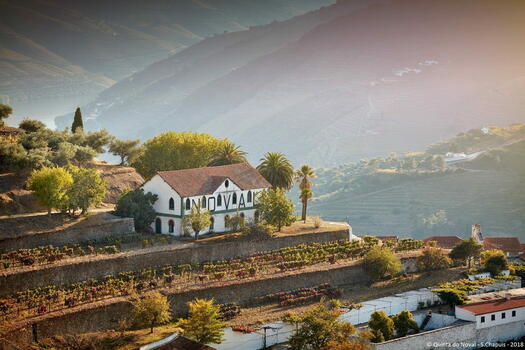 Quinta do Noval – Visita & Prova Assinatura
