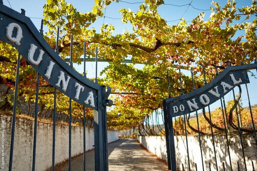 Quinta do Noval – Visita & Prova Monocastas