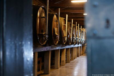 Quinta do Noval – Visita & Prova Premium