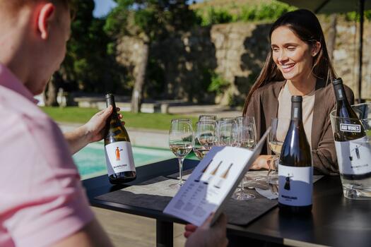 Quinta de Santa Teresa - Visit & Discovery Tasting