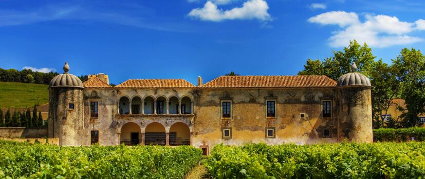 Palácio da Bacalhôa - Catarina de Bragança Tasting