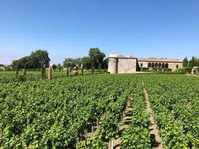Palácio da Bacalhôa - Casa das Índias Tasting