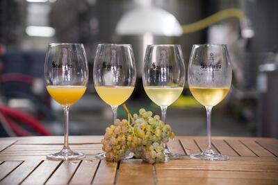 Soalheiro – Nature Tasting