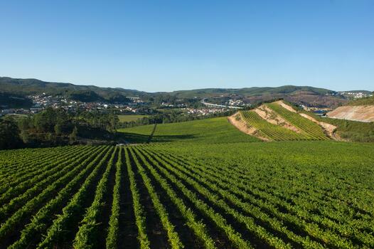 Quinta das Arcas – Jeep Visit