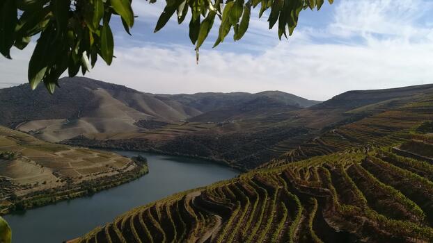 Unique Douro B