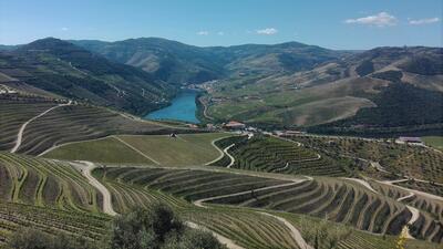 Rota dos Vinhos do Douro