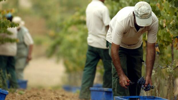Herdade dos Grous - Cata de Vinos Selección
