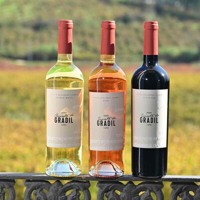 Quinta do Gradil – Visit & 3 Wines Tasting