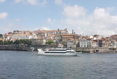 Vinhas do Douro 