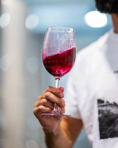 The Art of Alentejo Wines