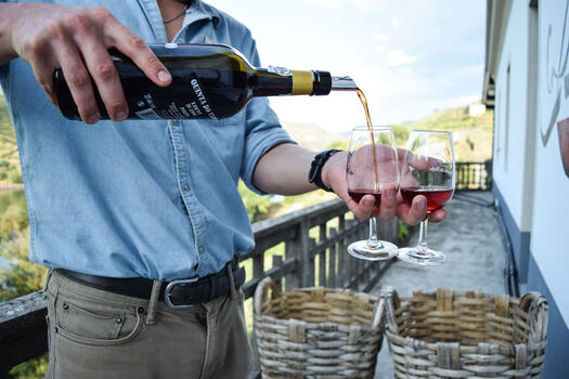 Quinta do Tedo - Visita & Prova de Vinhos