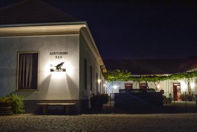 Quinta do Tedo – Visita & Prova Tawny