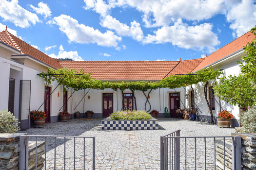 Quinta do Tedo – Visita & Prova Colecionador