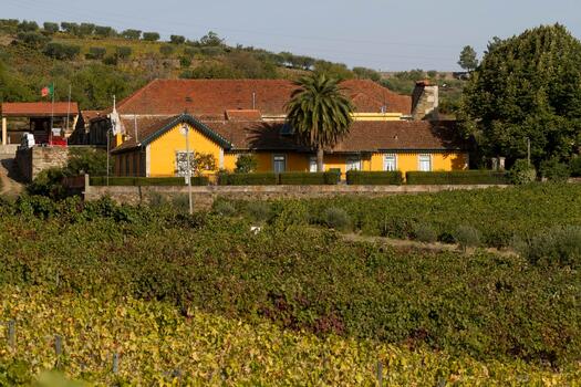 Quinta do Monte Travesso – Prova Super Premium 