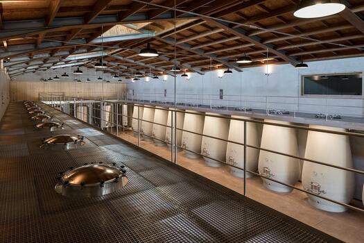 Taboadella - Tour & Douro & Dão Tasting