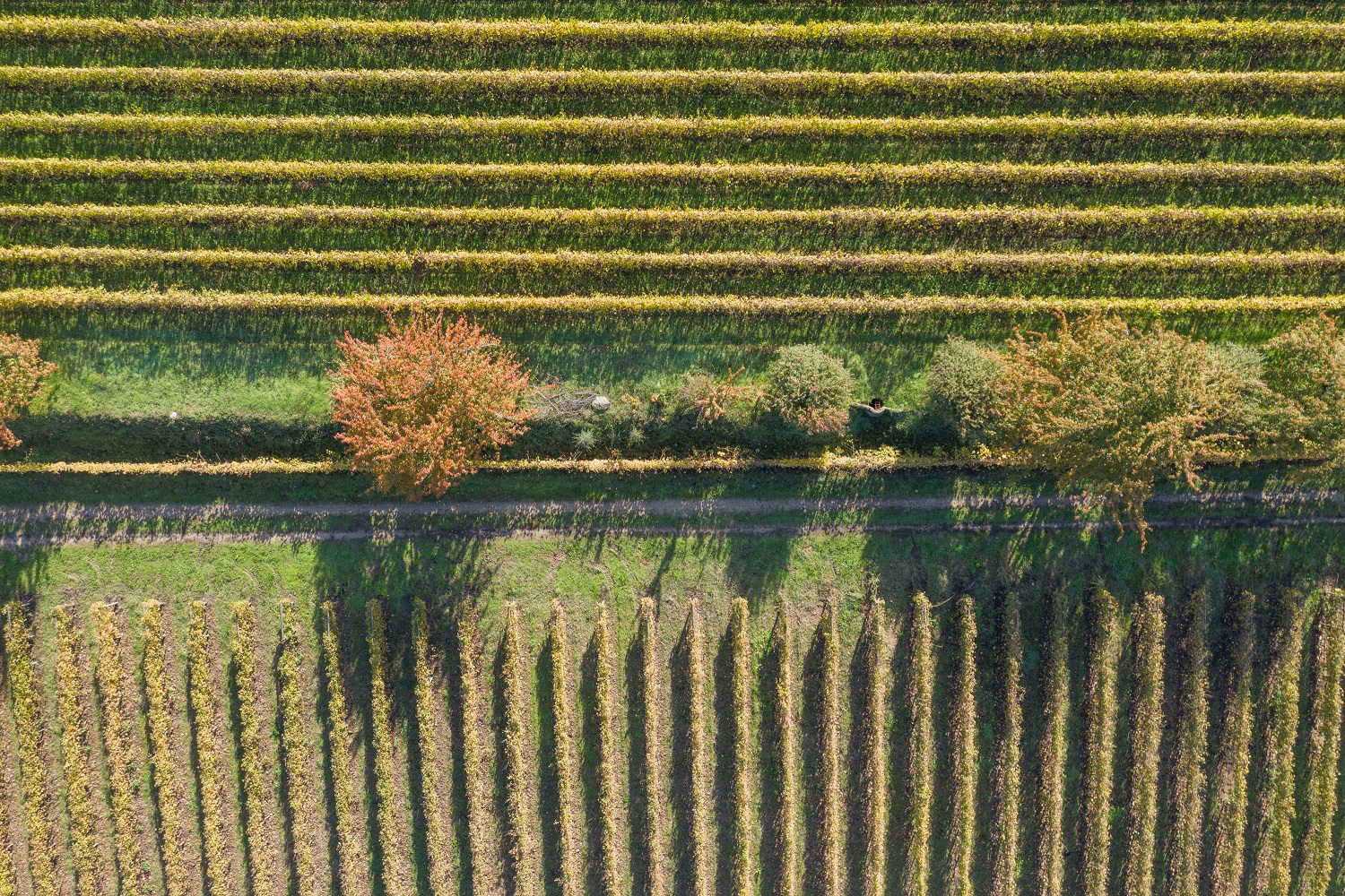 Vinhos Verdes Prestige Journey – Porto, Vinhos Verdes