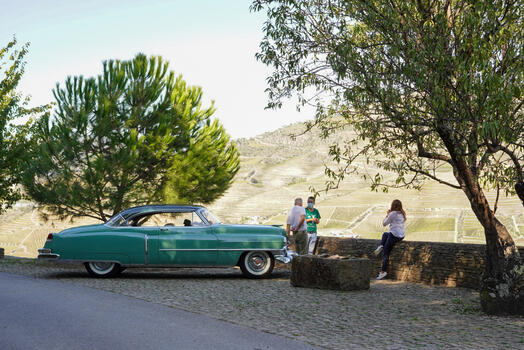 Prove o Douro