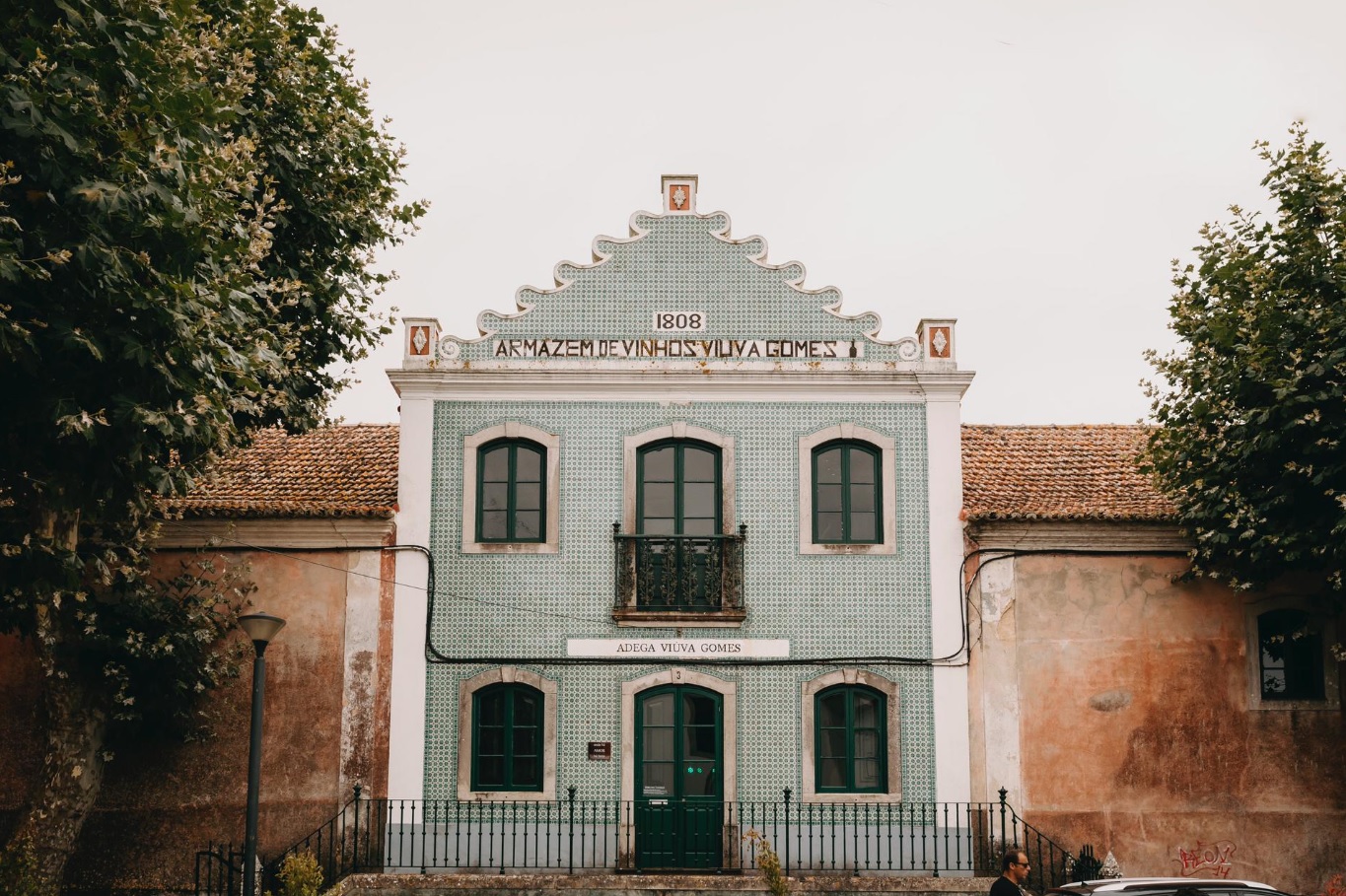 Adega Viúva Gomes – Diogo & Viúva Gomes Tasting