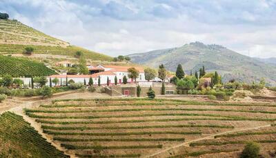 The Great Douro Wine Route