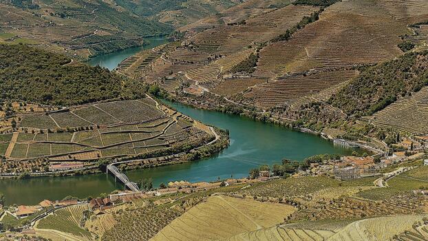 A Glance at The Douro Valley – Peso da Régua, Douro