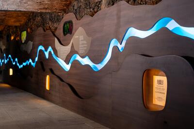Caves Burmester – Visita Premium