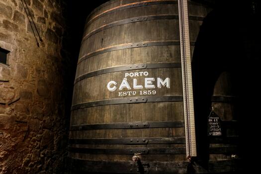 Caves Cálem – Visita Clássica