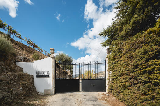 Quinta de São Luiz – Prova Premium de Portos 