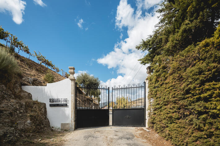 Quinta de São Luiz – Premium Port Wine Tasting 