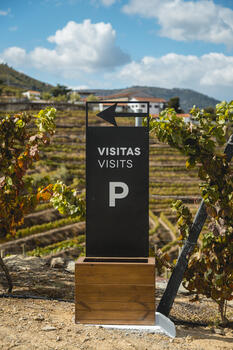 Quinta de São Luiz – Prova Clássica DOC Douro 