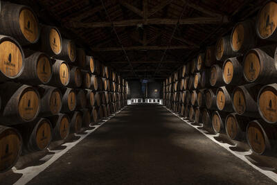Caves Sandeman – Visita “The 1790”