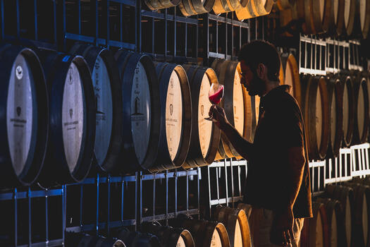 Quinta dos Murças – Visita & Prova Terroir