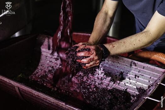 Quinta da Lagoalva – Wine Workshop & Lunch 