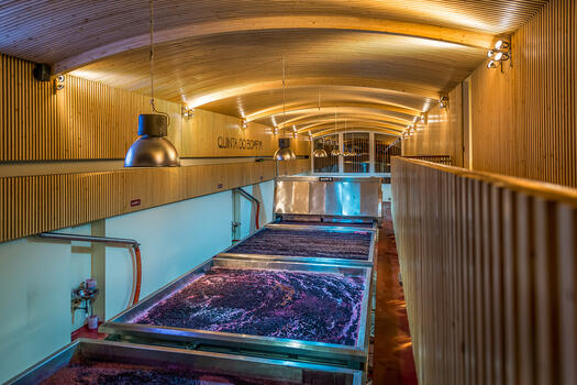 Quinta do Bomfim – Visita & Prova Premium