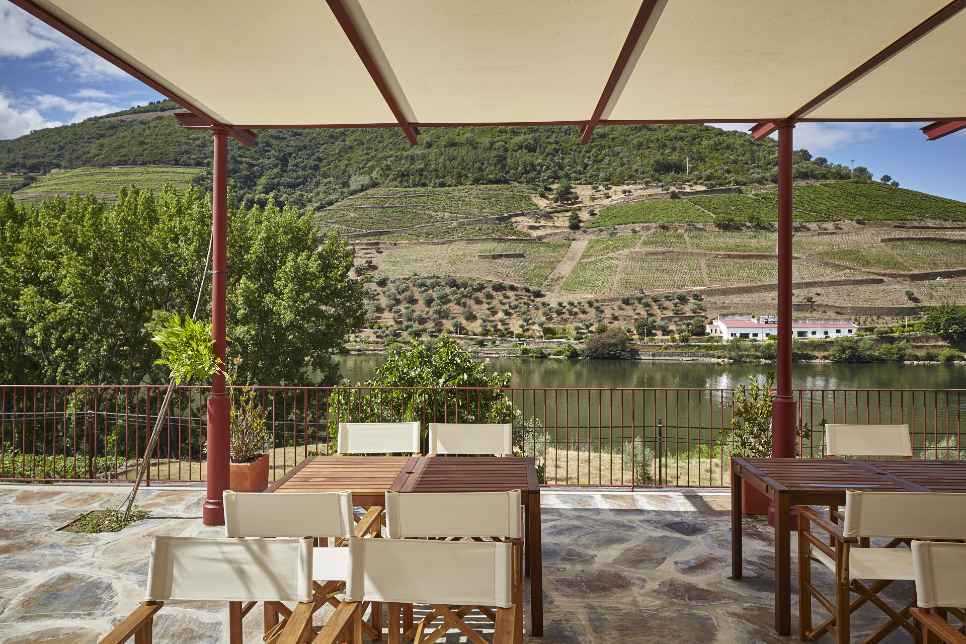 Quinta do Bomfim – The Specialist Tour & Tasting