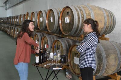 Pico Wine Tour - Medio Día