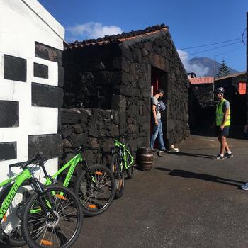 Bicycle Tour through the Pico Vineyards