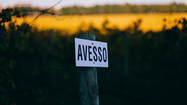 Casa de Vilacetinho – Tour & Avesso Wine Tasting