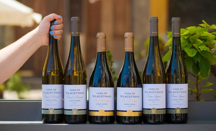 Casa de Vilacetinho – Tour & Complete Tasting