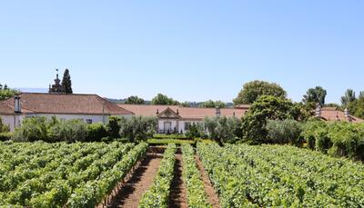 Santar Vila Jardim – Tour, Tasting & Appetisers
