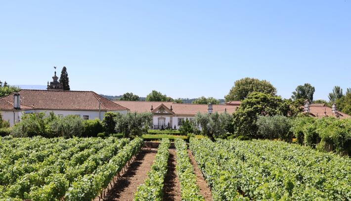 Santar Vila Jardim – Tour, Tasting & Appetisers
