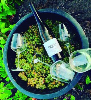 Azores Wine Company - Salt & Spices