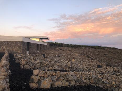 Azores Wine Company - Varietals Flight