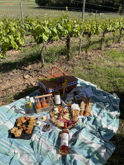 Quinta do Gradil – Picnic in the Vineyards