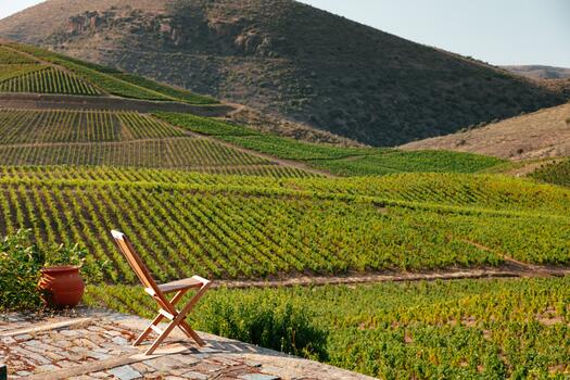 Quinta de Ervamoira – Visita & Prova Tawny World